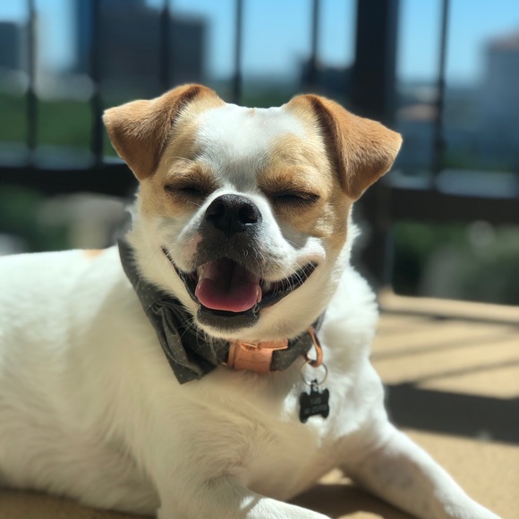 Profile Picture of Barbara Michalik (@barbaramichalik) on Poshmark