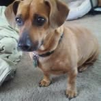 Profile Picture of Debbie Cotter (@Debbie-Cotter) on Facebook