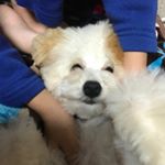 Profile Picture of 高橋のり子 (@nokokate6943) on Instagram