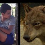 ALEXANDER BOBADILLA - Instagram Profile Picture of ALEXANDER BOBADILLA (@_alexander_bobadilla_2005) on Instagram