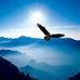 Profile Picture of Ping Tsai (@ping.tsai.313) on Facebook