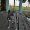Profile Picture of brucehalcomb3 (@@brucehalcomb3) on Tiktok