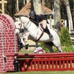 Profile Picture of haley fox (@haleyfox.eq) on Instagram