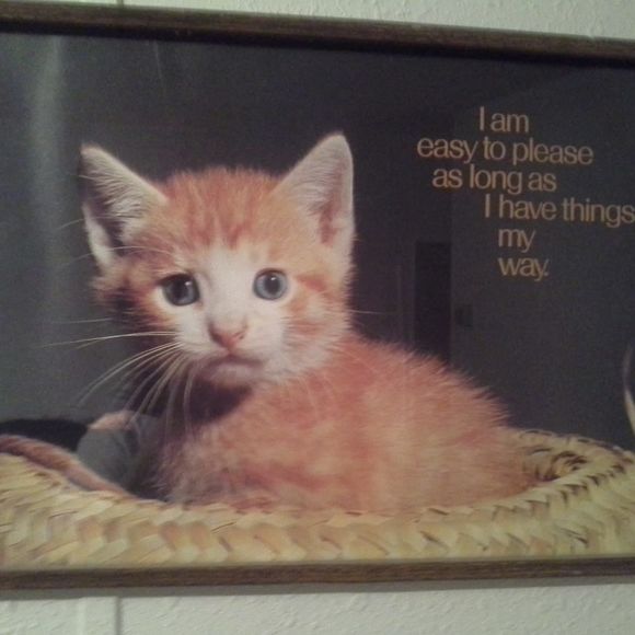 Profile Picture of Loretta Wilson (@wilsonklpsk) on Poshmark