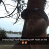 Profile Picture of CoreyT (@@coreytornetta) on Tiktok