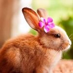 Profile Picture of Kenneth Ponder (@ponderkenneth) on Instagram