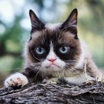 Profile Picture of Richard Ruffner (@richard.ruffner) on Instagram