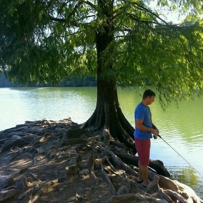 Profile Picture of Jason Baros (@jsnbaros) on Twitter