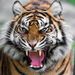 Profile Picture of Bill Flamank (@billflamank) on Pinterest