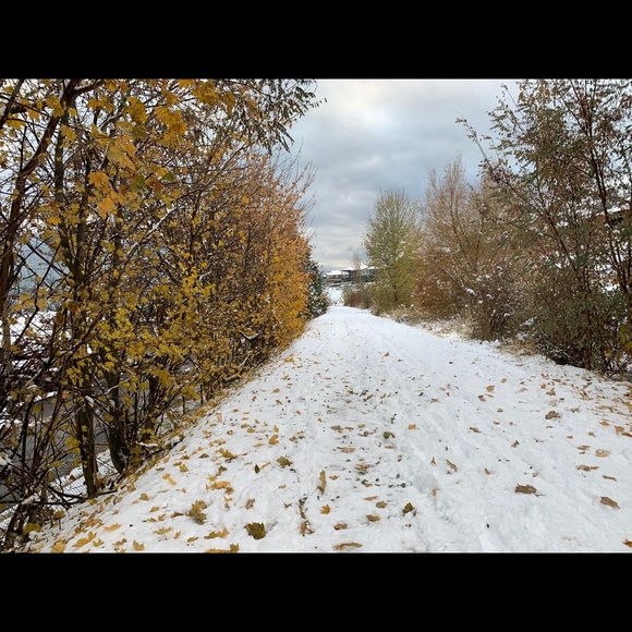 Profile Picture of Jo Thomsen (@jothomsen) on Poshmark