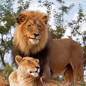 Profile Picture of Marc Cook (@marccook6425) on Youtube