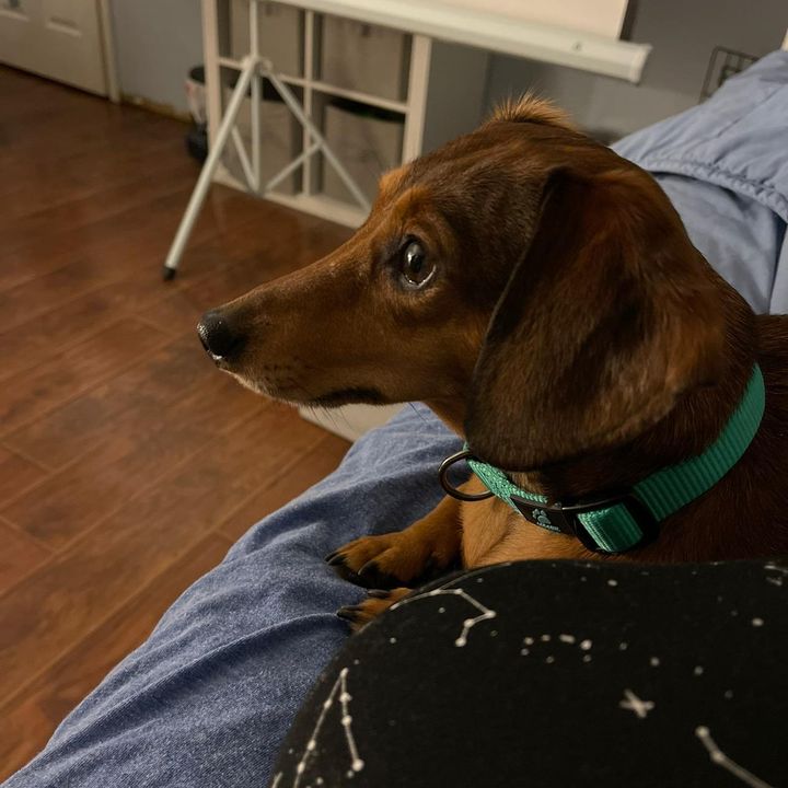 Profile Picture of Mkrause (@@marilynkrause) on Tiktok