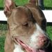 Profile Picture of Moe Adams (@moesdragon15) on Pinterest