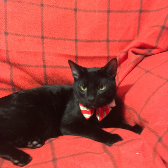 Profile Picture of Brady Mahoney (@ochozero80) on Poshmark