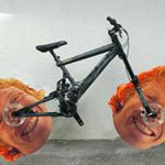 Profile Picture of timguidon40 (@timguidon40) on Instagram