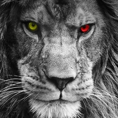 Profile Picture of Alex Lezama (@alexlezama5) on Twitter