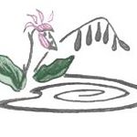 Profile Picture of Char Kujala (@calypso_spring_design) on Instagram