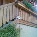 Profile Picture of Peter Kurth (@kurthpeter67) on Pinterest