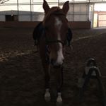 Profile Picture of Candy& Vincent (@buretki_and_vincent) on Instagram