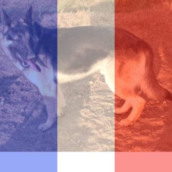 Profile Picture of Kevin Valadez (@kvaladez_14) on Poshmark