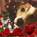 Profile Picture of Patricia Matteson (@patricia.matteson.5) on Facebook