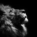 Profile Picture of John Peter (@johnpeter333) on Pinterest