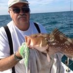 Profile Picture of Jim Steele (@jim.steele.14203) on Instagram