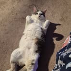 Profile Picture of Kallvin Riggs (@kallvin.riggs) on Facebook