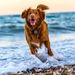 Profile Picture of Sonja N Jacobson (2031) (@sjacobson2031) on Pinterest