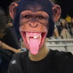 Profile Picture of Bryan (@bryan_trippin) on Instagram