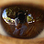 Profile Picture of PEPE RIVAS (@PEPE RIVAS) on Flickr