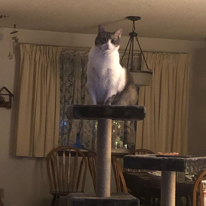 Profile Picture of Shirley76 (@shirleyzman) on Tiktok