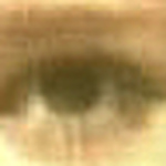 Profile Picture of Bi....jesseniia...♥ (@bi....jesseniia...♥) on Flickr