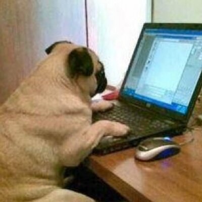 Bob Binder - Twitter Profile Picture of Bob Binder (@masterkeybobb) on Twitter