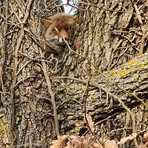 Profile Picture of Raffaele Minichiello (@raffaele.minichiello1) on Facebook