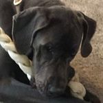 Nicholas Barclay - Instagram Profile Picture of Nicholas Barclay (@nicholas_barclay) on Instagram