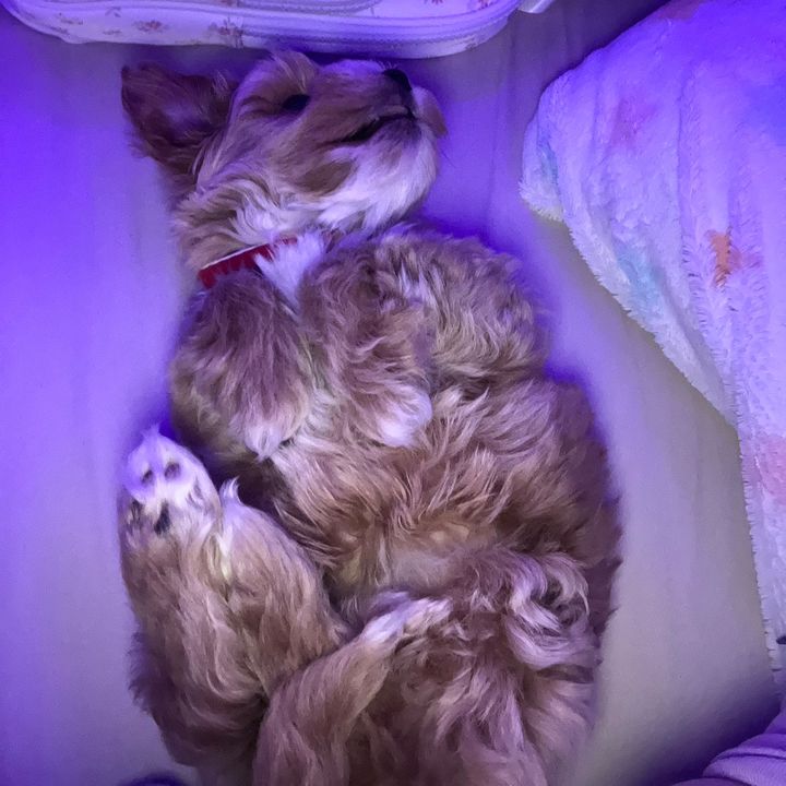 Profile Picture of tocaboca.2552 (@lyleighdowns) on Tiktok