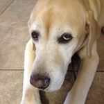 Profile Picture of Susan Creedon (@susan.creedon) on Instagram
