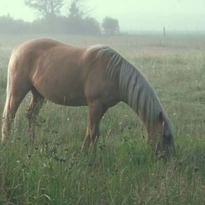 Profile Picture of Tabatha Lewis (@clevelandDaniel) on Twitter