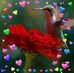 Profile Picture of Rocio Corona (@rocio.corona.568) on Facebook