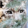 Profile Picture of Steve Buffington (@stevebuffington) on Flickr