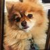 Profile Picture of Richard Tobey (@richard.tobey.313) on Facebook
