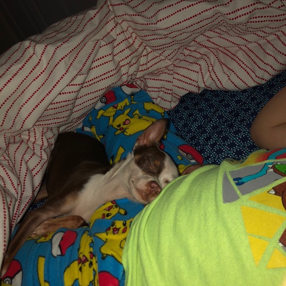 Profile Picture of Monica Sorell (@sorellm) on Poshmark