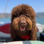 Profile Picture of Max Valdes (@holasoymax_mv) on Instagram