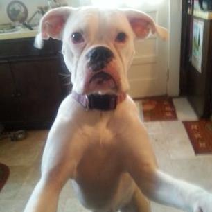 Profile Picture of Tammy Chaney (@550d68ed972e4b0) on Twitter