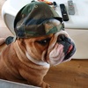 Profile Picture of Christophe Diebold (@@titto504) on Tiktok