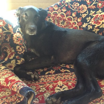 Profile Picture of Paul Stelter (@stelterpaul) on Twitter