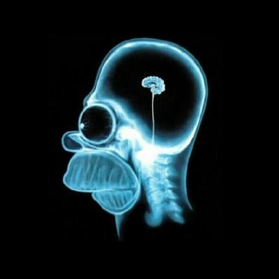 Matthews Schuch - Twitter Profile Picture of Matthews Schuch (@matthewsschuch) on Twitter