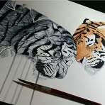 Profile Picture of David Schultheiß (@David-Schultheiß) on Facebook