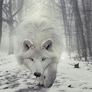 Profile Picture of Andrews Maximos Perigoso (@andrewsmaximos.perigoso) on Facebook